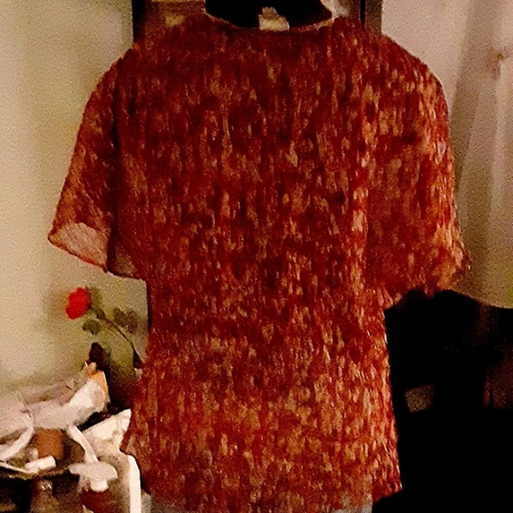 Blouse - Picture 2 of 6